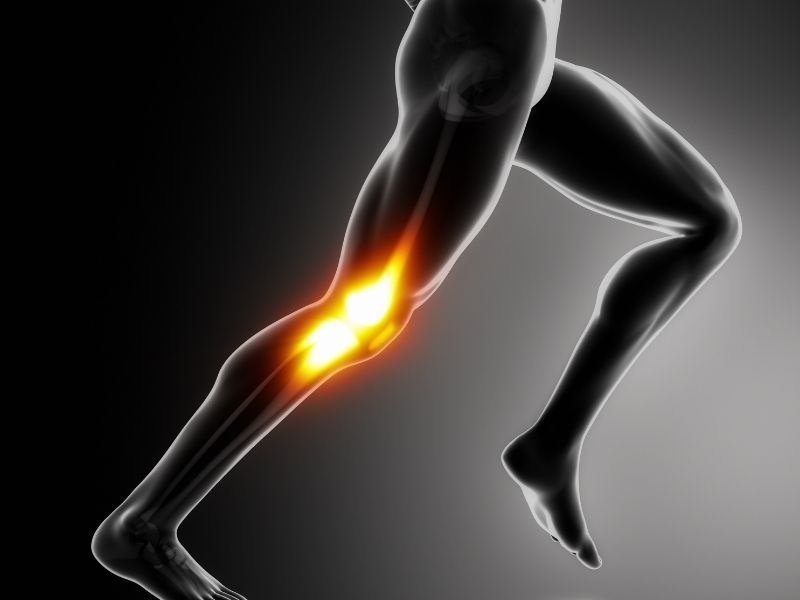 Cirurgia para Luxacao Patelar em Curitiba