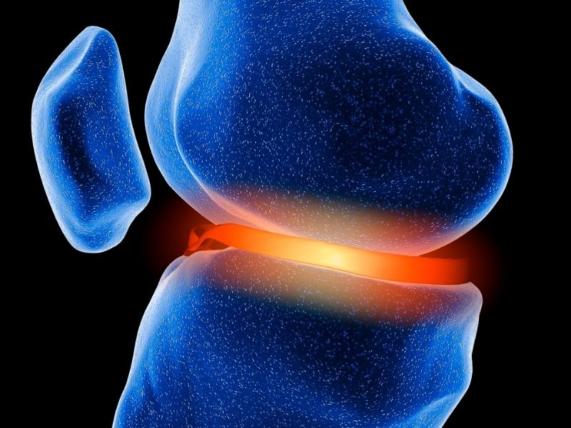Medico especialista em cirurgia do joelho particular em Curitiba